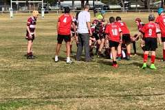 67544603_3053524211358620_9171816997485281280_n