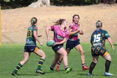 59476241_10161800470465381_475605419725684736_o