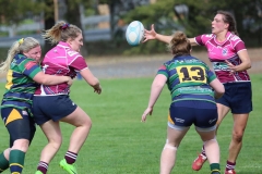 59539889_10161800479435381_7597468229438537728_o