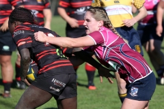 59932761_10161828468785381_8369647467439849472_o