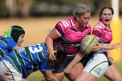 65881998_908477249487328_8154578393136889856_o