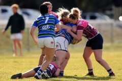 66101407_908477216153998_1432162200675418112_o