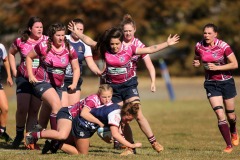 67752010_927636860904700_7810704645491261440_o