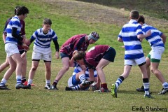 112891257_4317289391645434_1996908539716508806_o