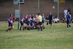 116502969_375568297175295_4344861193382202646_n