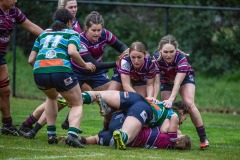 117195078_1229014894100227_8303011022362353127_o