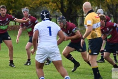 1786_DSC_0397_4925_1500