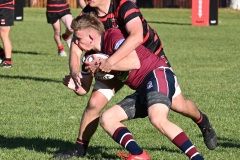 4214_DSC_3916_5855_1500