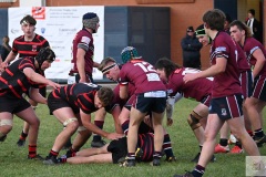 4214_DSC_4688_7243_1500