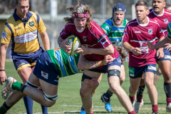 368565549_1683217445488457_2003479969508909993_n